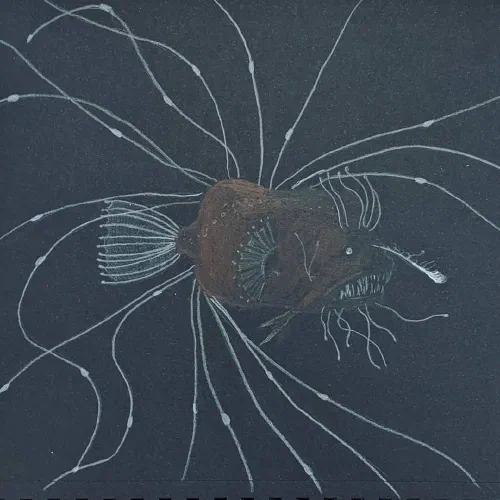 Spooky angler fish. These things are the most terrifying things in the sea imo #sketchbook #anglerfish #coloredpencil #art #artist