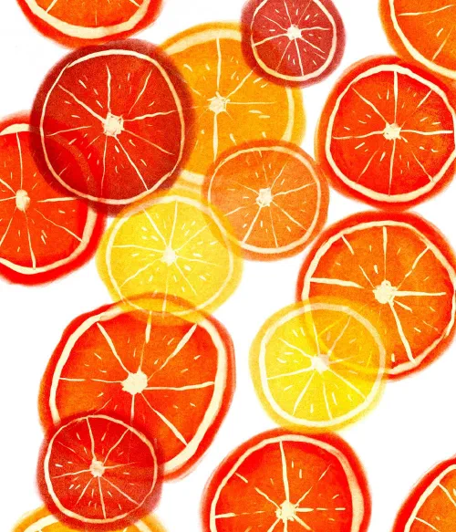 Some orange slices #makingarteveryday #makearteveryday #procreate #illustration #oranges