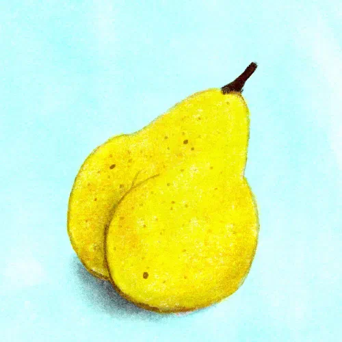 âSheâs pear shapedâ ðð¤ª #makingarteveryday #procreate #pears #makearteveryday #illustration