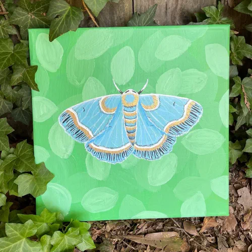 My moth series that I really enjoyed making These are for sale please DM me if interested ð¿ð¤ #acrylicpainting #painting