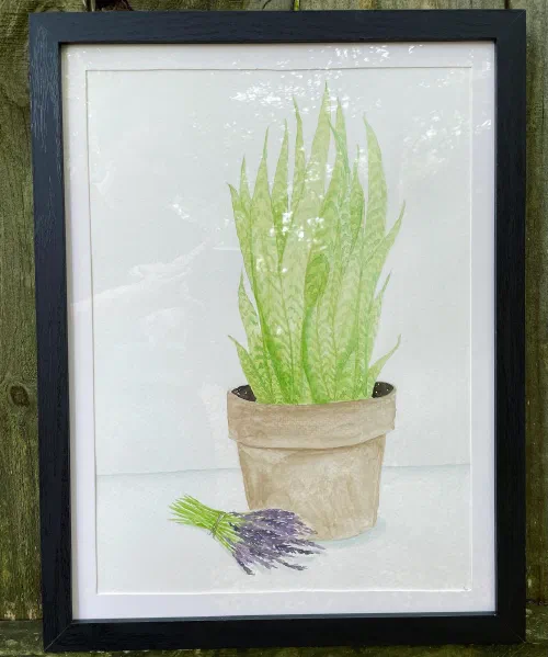 Two watercolor still lives #stilllife #watercolor #painting