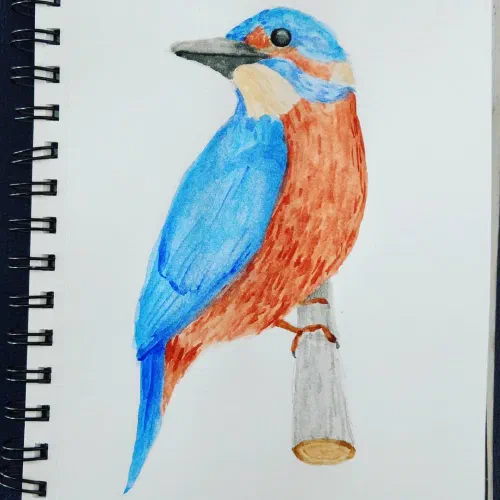 Used a reference but couldn't find the source. Just trying to fill this sketchbook. This paper kind of stinks for watercolor use. ð #sketchbook #watercolor