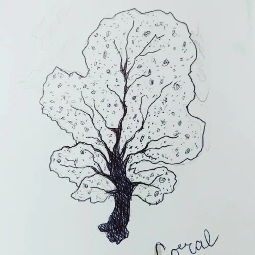 Fan Coral #sketchbook #coral #ink
