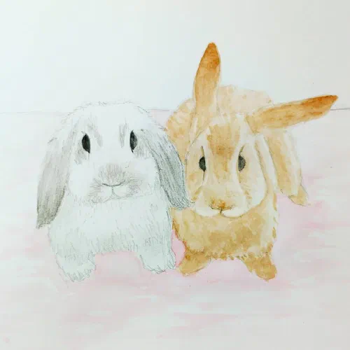 Bun buns #sketchbook #watercolor #bunny #rabbit
