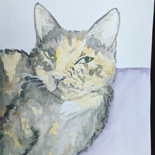 Exciting project coming soon with DHS art club! #sketchbook #watercolor #calico #catsofinstagram #wiregrasshumanesociety #saveapet