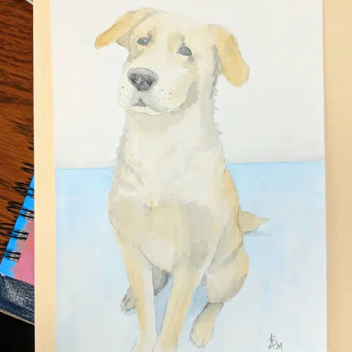 Another pet portrait. Commission for my dad.#watercolor