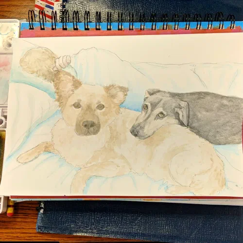 Maybe final of my dogs. #watercolor