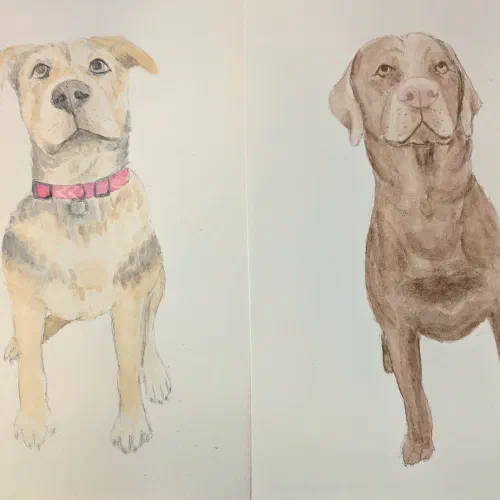 Two puppy portrait commissions today #watercolor