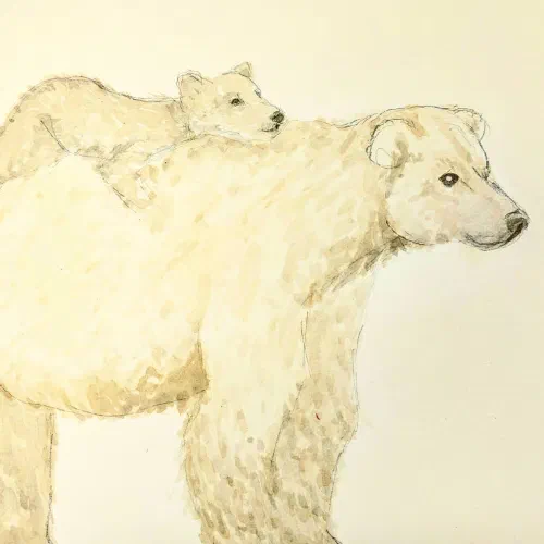 #bear #watercolor #sketchbook