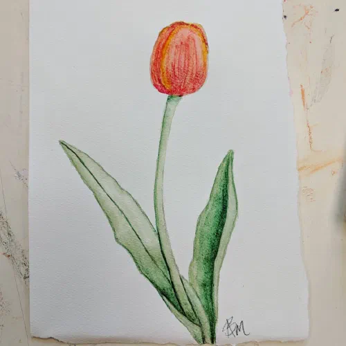 Some flowers I gave to students yesterday. #watercolor #tulip #flowers