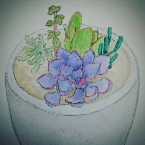 #succulents #watercolor Last page of this sketchbook