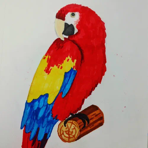#parrots #illustration #marker